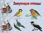 Декада «Зимующие птицы»